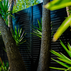 Privacy-Screen-Charcaol-6