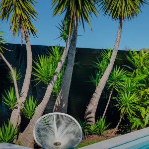 Privacy-Screen-Charcaol-7
