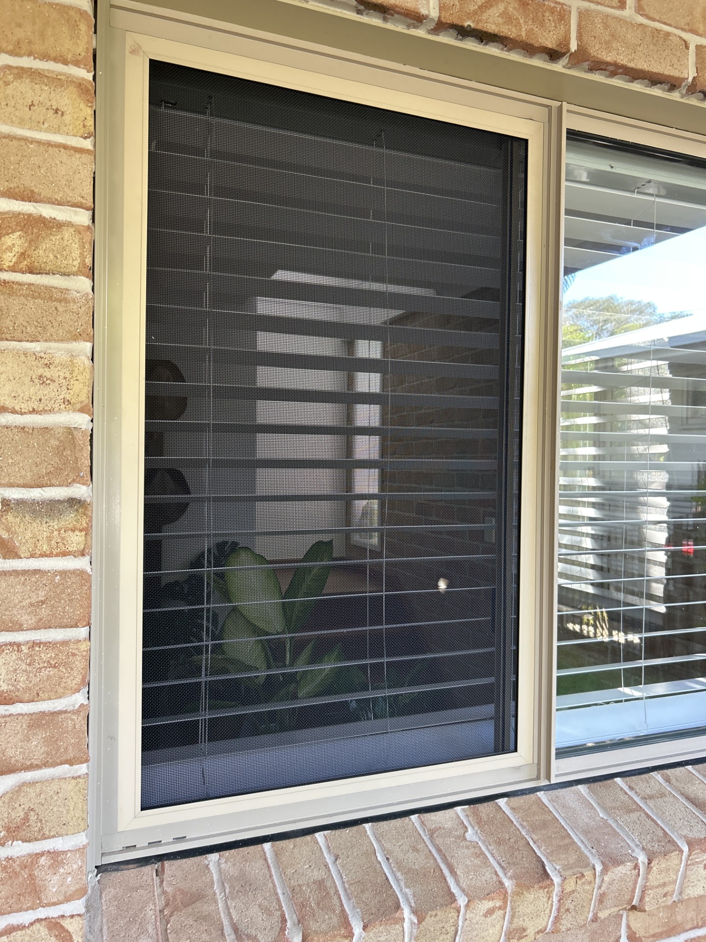 Security Screen Windows