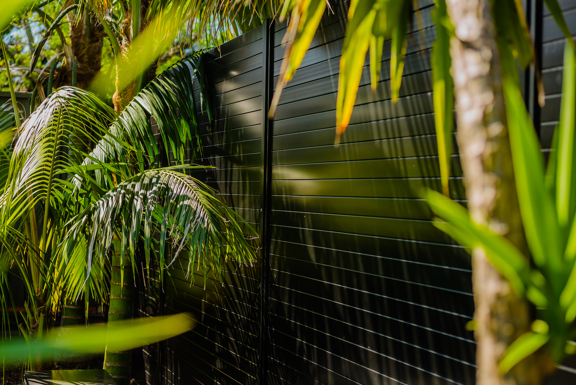 Privacy Screens & Gates