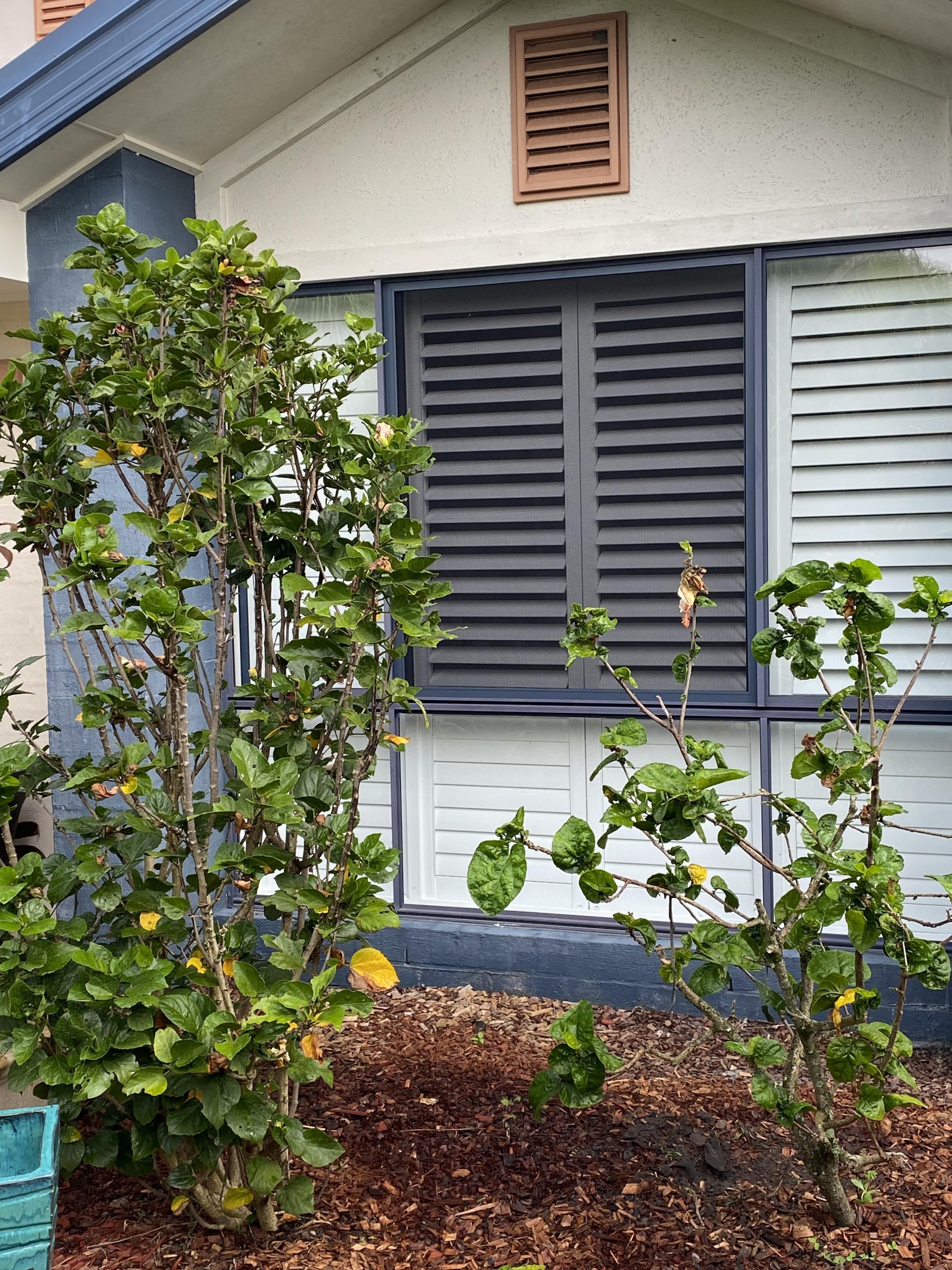 Plantation Shutters